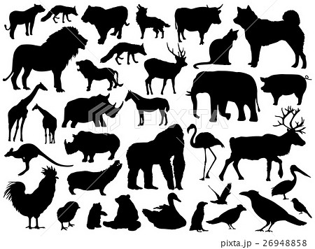 動物のシルエットイラストのイラスト素材