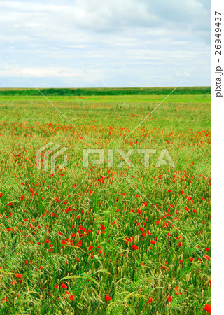 Nature stock images 26949437