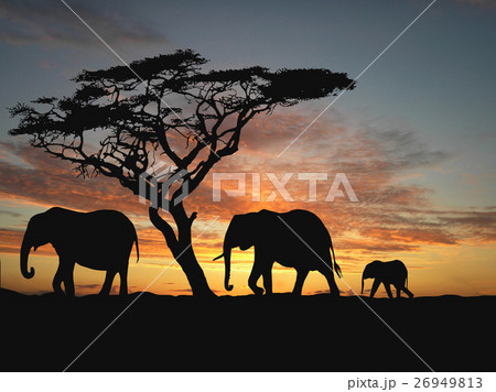 Nature stock images 26949813