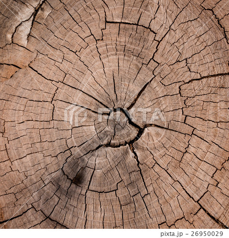 old wooden texture 26950029