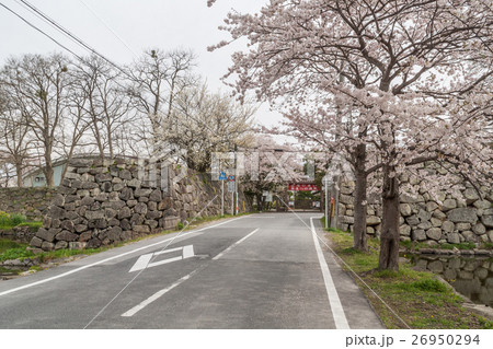 春の彦根城の船町口門の風景 春の彦根城の船町口門の風景 26950294