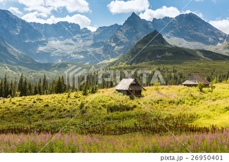 Tatra Mountains national park in Zakopane 26950401