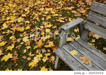 autumn leaves and old wooden bench 26950459
