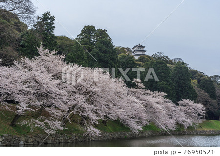 春の彦根城の西の丸三重櫓の風景 春の彦根城の西の丸三重櫓の風景 26950521