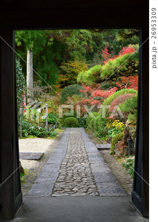井伊家菩提寺　龍潭寺　井伊直虎 26953309