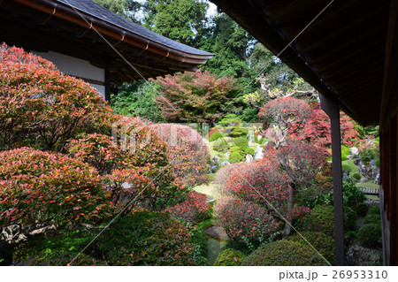 井伊家菩提寺　龍潭寺　井伊直虎 26953310