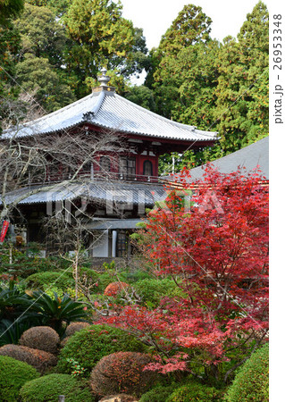 井伊家菩提寺　龍潭寺　井伊直虎 26953348