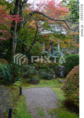 井伊家菩提寺　龍潭寺　井伊直虎 26953356