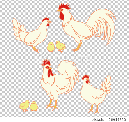 Chicken zodiac signature year 26954220