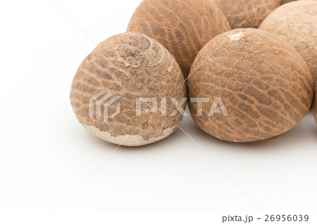 ベテルナッツ:betel nuts ベテルナッツ:betel nuts 26956039