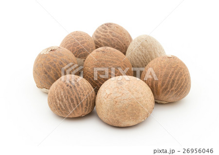ビンロウの実：betel nuts 26956046