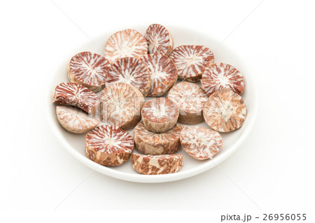 ビンロウの実：betel nuts 26956055