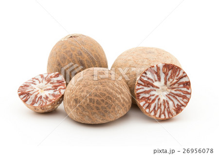 ビンロウの実：betel nuts 26956078