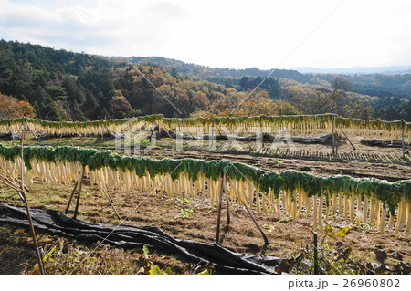 11月　大根干し01 26960802