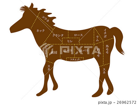 馬肉　部位の名称 26962572