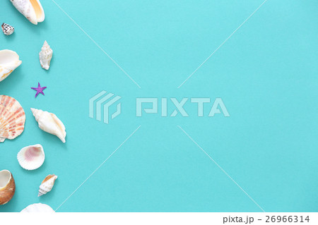リゾートイメージ 貝殻 リゾートイメージ 貝殻 26966314