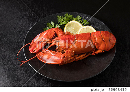 高級ロブスター High-quality lobster 高級ロブスター High-quality lobster 26968456