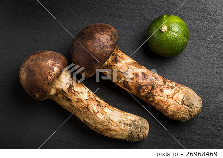 日本産高級松茸料理　 Domestic matsutake mushroom  26968469