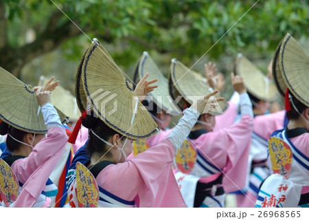 本場徳島阿波踊り 女踊り 本場徳島阿波踊り 女踊り 26968565