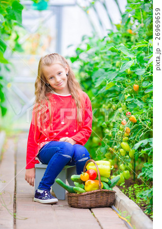 Little girl in greenhouse with basket full of 26969659