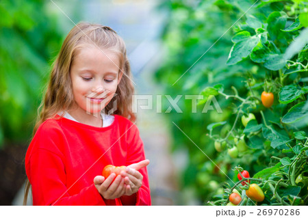 Adorable little girl collecting crop cucumbers and 26970286