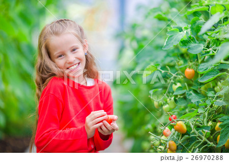 Adorable little girl collecting crop cucumbers and 26970288