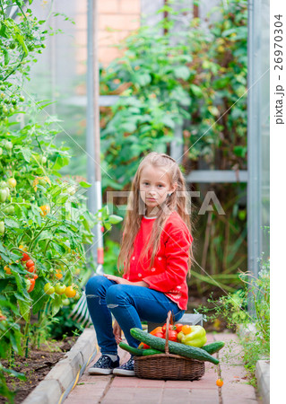 Little girl collecting crop cucumbers and tomatos Little girl collecting crop cucumbers and tomatos 26970304