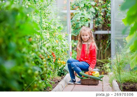Little girl in greenhouse with basket full of Little girl in greenhouse with basket full of 26970306