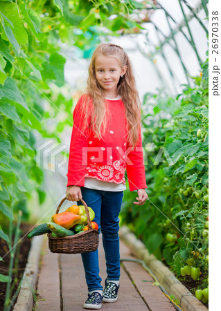Little girl collecting crop cucumbers and tomatos 26970338