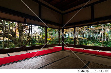 秋の京都 宝泉院 秋の京都 宝泉院 26971936