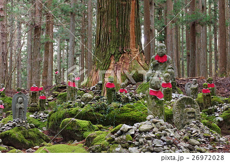信州の文化財　名工　守屋貞治の石仏　賽の河原地蔵尊（駒ヶ根市光前寺）　初冬の風景 26972028