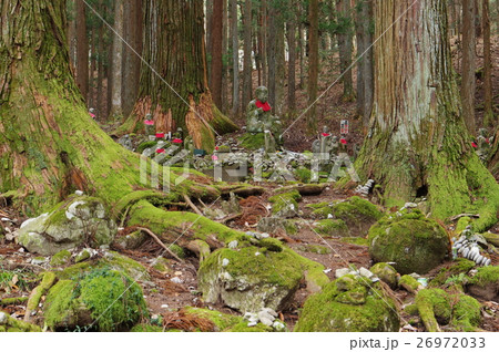 信州の文化財　名工　守屋貞治の石仏　賽の河原地蔵尊（駒ヶ根市光前寺）　初冬の風景 26972033