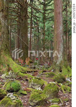 信州の文化財　名工　守屋貞治の石仏　賽の河原地蔵尊（駒ヶ根市光前寺）　初冬の風景 26972034