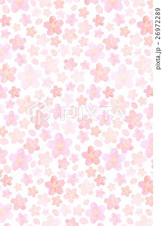 桜の背景　全面 26972289