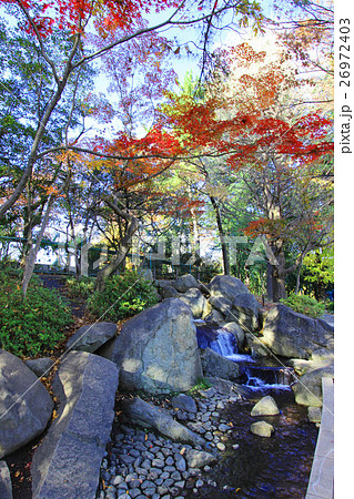 蚕糸の森公園 26972403