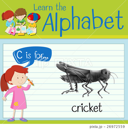 Flashcard letter C is for cricket 26972559