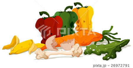 Different types of rotten vegetables 26972791