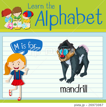 Flashcard letter M is for mandrill 26973067