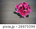 シクラメン 26973399