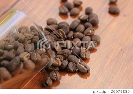 coffee bean 26973859