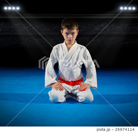 Boy martial arts fighter 26974114