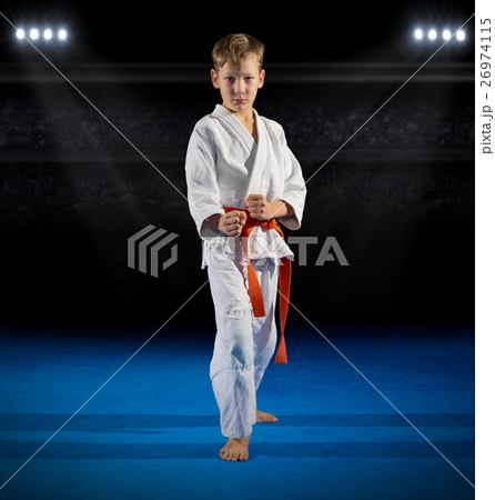 Boy martial arts fighter 26974115