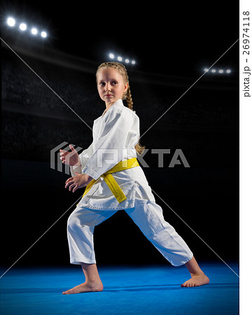 Little girl martial arts fighter 26974118