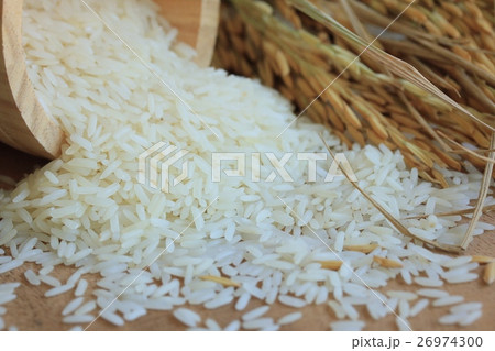 grain rice 26974300