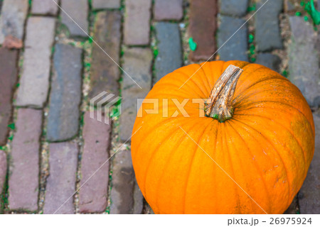 Pumpkins 26975924