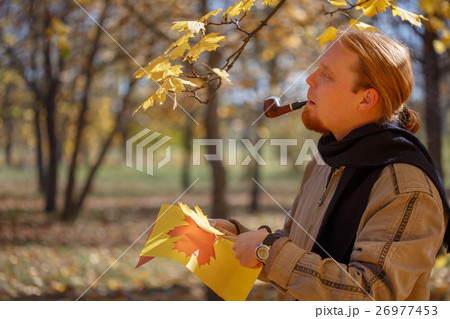 Young red-haired bearded man smokes pipe and cuts maple leaves o 26977453