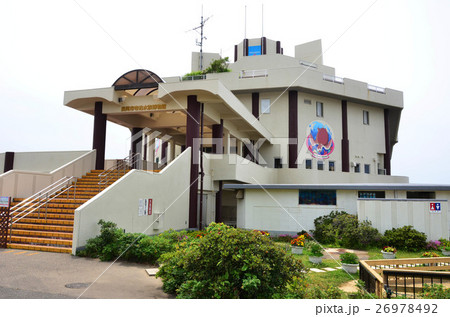 寺泊水族館（新潟県） 26978492