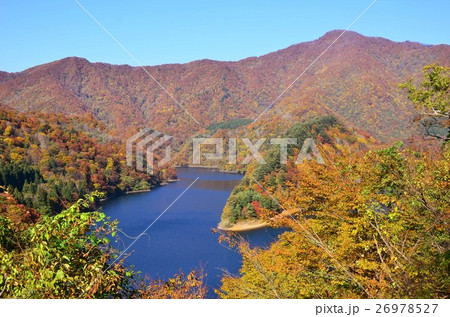 三面ダムの紅葉(新潟県) 三面ダムの紅葉(新潟県) 26978527