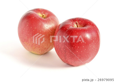 リンゴ 世界一 の写真素材