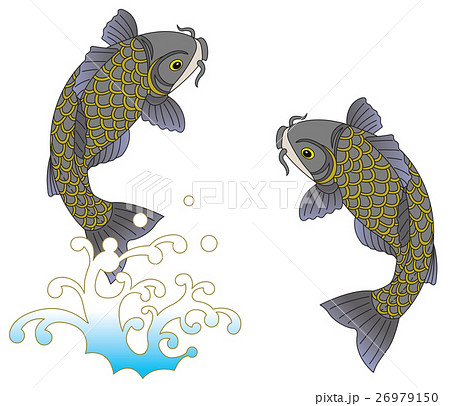 跳ねる鯉 跳ねる鯉 26979150
